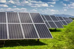 Polyester Film, Polyethylene